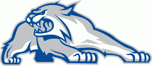 New Hampshire Wildcats 2000-Pres Alternate Logo v2 diy iron on heat transfer